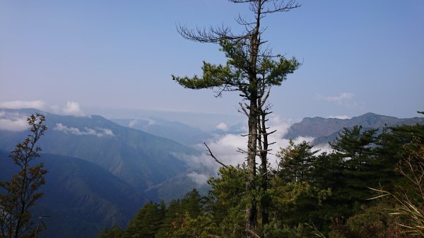 2019.4.2~3玉山主峰、西峰588514