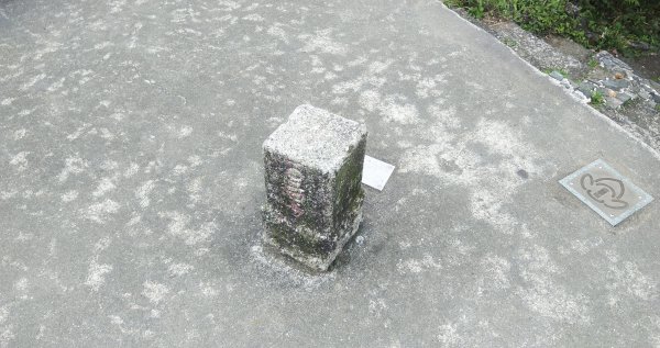 20210508_紅淡山步道1379618