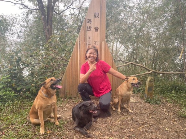 阿拔泉山、觀音石山、紅南坑山、獨立山2650847