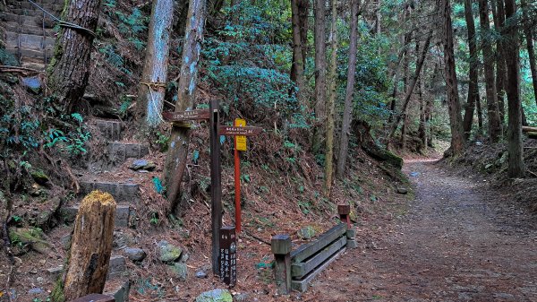 東洗水山1904308