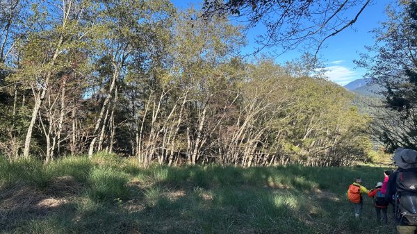 馬武霸下武陵2962377