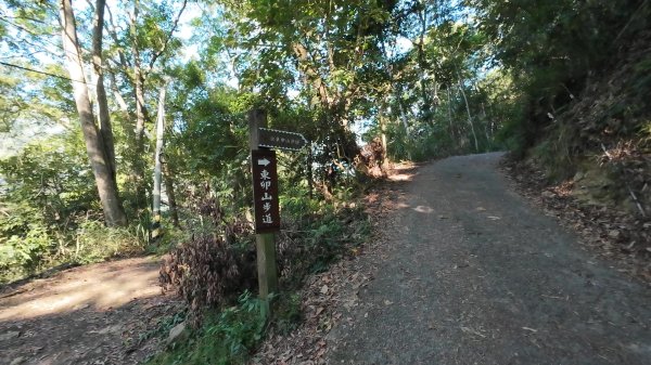 東卯山(谷關七雄No:5)3129241