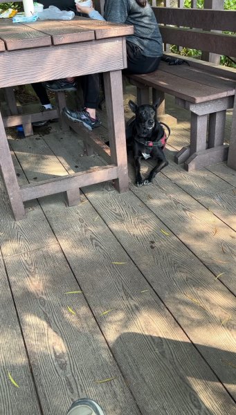 2025/09/14-聚興山2891634