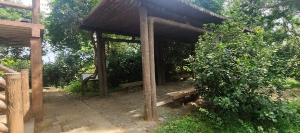 五酒桶山步道2789553