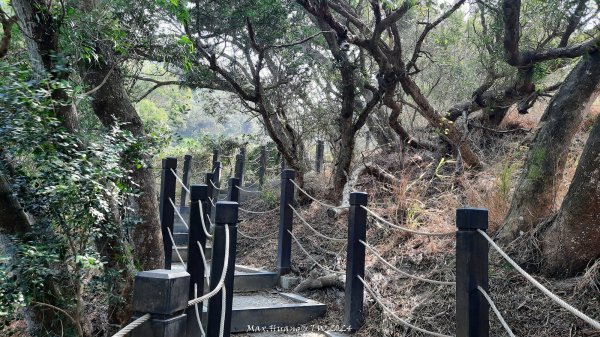 《台中》心靈雞湯｜大肚萬里長城登山步道O繞202403082447925