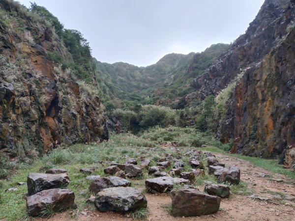 瑞芳區本山地質公園步道+草山公路+百二崁古道+樹梅坪古道O型2945514