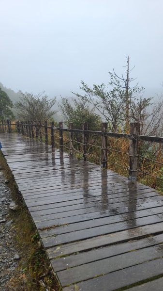 2025-0222 翠峰湖環山步道2718636