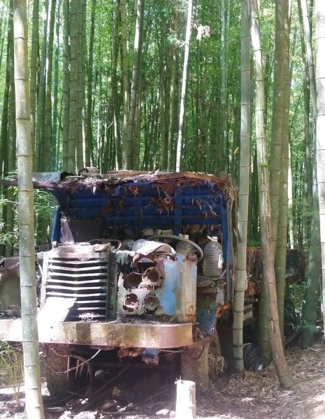 鳶嘴西稜O走（大崠山、長壽山、鳶嘴山）1073403