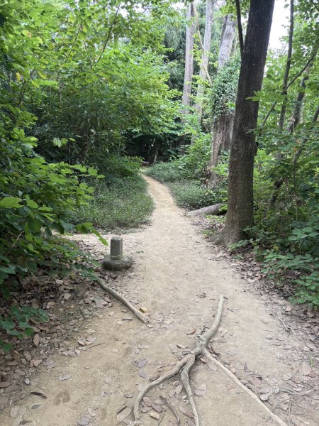 20251024蘭潭後山步道、紅毛埤山、山子頂山2924066