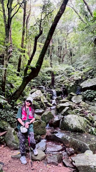 🌈7/5（日）東滿縱走（東眼山~滿月圓）FB：熊熊趴爬走(富裕登山社)🌈3082862