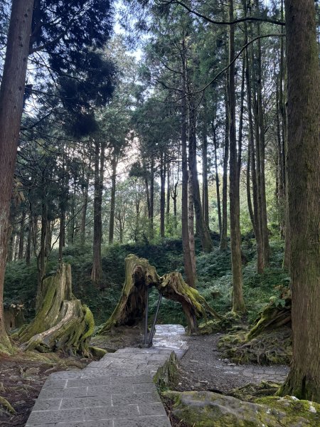 20251225塔山步道(大塔山)2970261