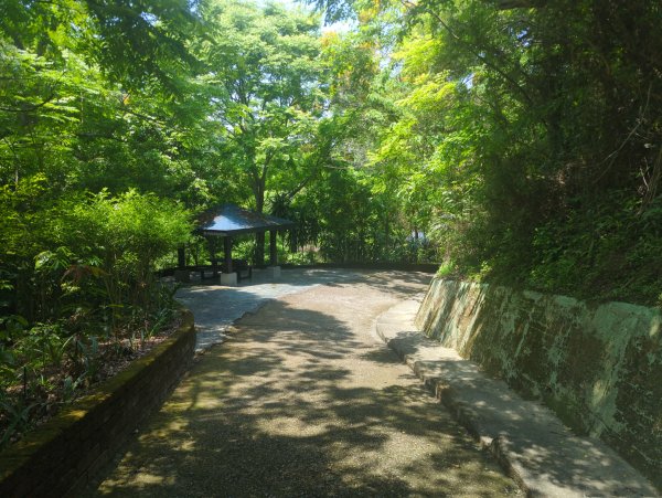 2026.05.02－聚興山步道3045932