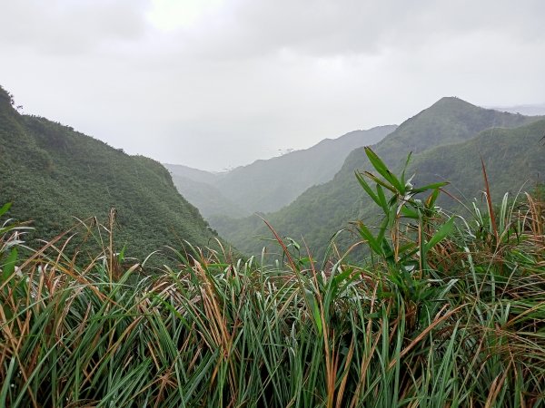 【小百岳集起來】內寮蕭家莊→桃源谷內寮線→草嶺線→福德山→#082灣坑頭山1523505