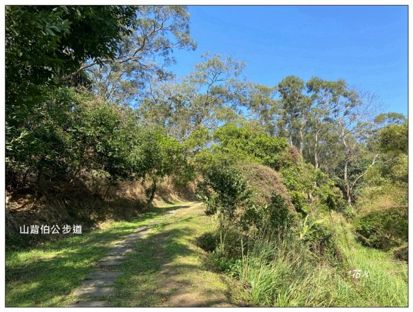 中央尖、山背伯公步道O型路線2708769