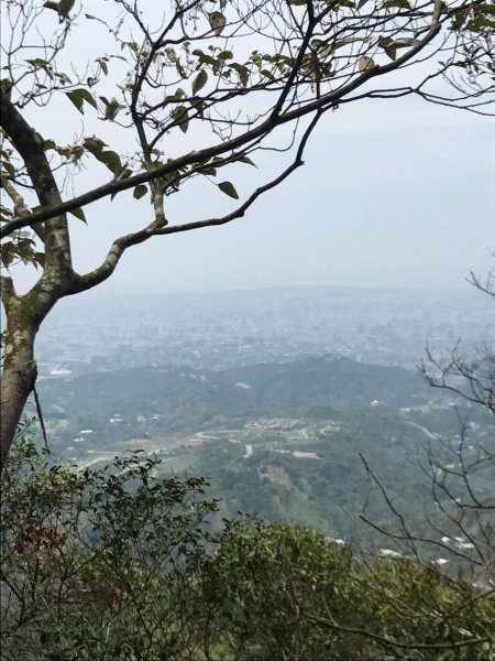 頭嵙山攻頂577444