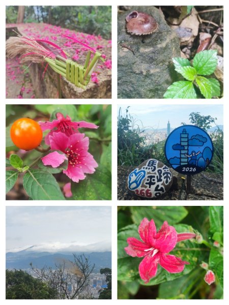 2026台北大縱走3014253