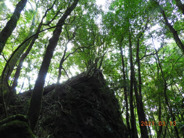 苗栗 南庄 加里山、哈堪尼山1304158