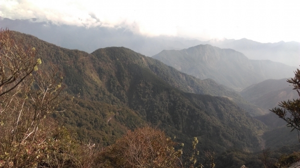 20160305鳶嘴山32427