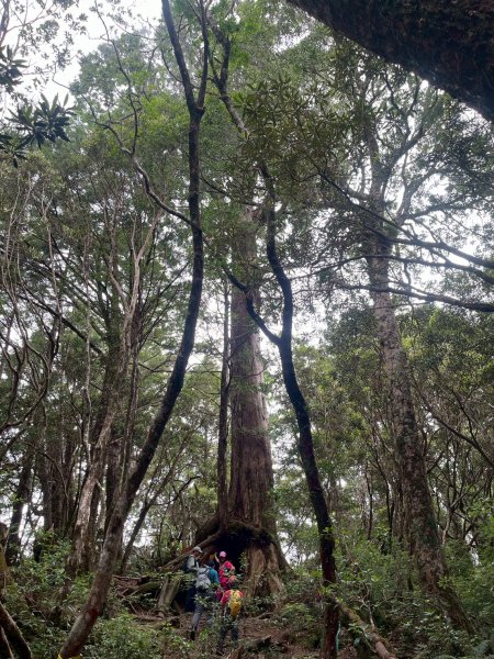 新北 塔曼山2832098