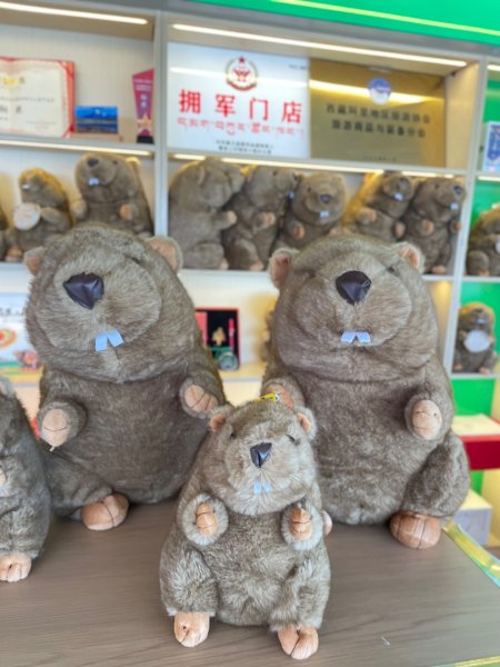 西藏的高山聖湖💙一措再措2907548