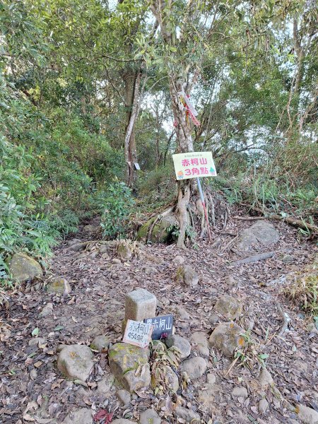關西赤柯山+東西獅頭山+馬福山+玉山O型2670812