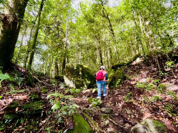 🌈8/2(六）鵝公髻山（小百岳）+北埔冷泉消暑+北埔老街美食✨FB：熊熊趴爬走🌈2852266