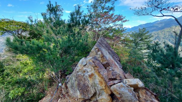 【阿冷山】谷關七雄8-阿冷山，山如其名，一座未經官方認證的山，但要石瀑、林相、攀繩、爬升、視野她卻一一不缺~走過你會愛上她。#阿冷山 #谷關七雄