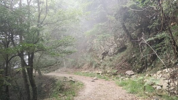 20251010 大雪山國家森林遊樂區 - 船型山林道 登 烏石坑山2911122