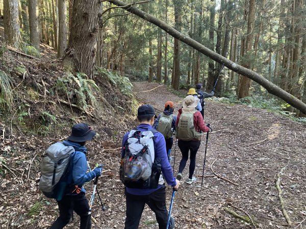 《走進百年前的山林｜霞喀羅古道22K縱走．一條被歷史刻下痕跡的路》3029905