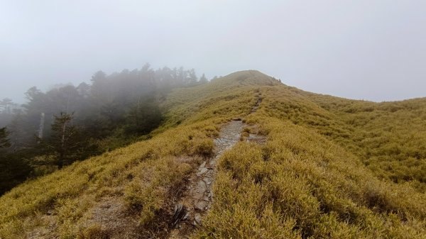 合歡南峰/主峰（霧茫茫一片）1646925