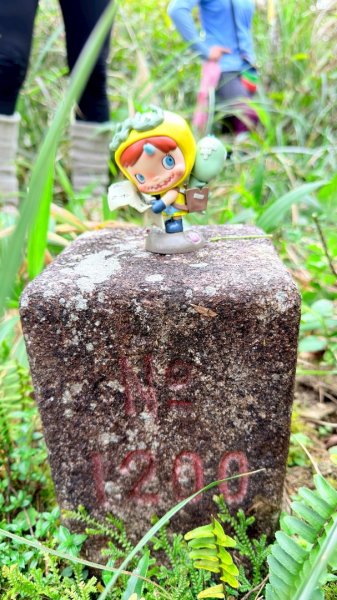 大同九分山/九份山3027617