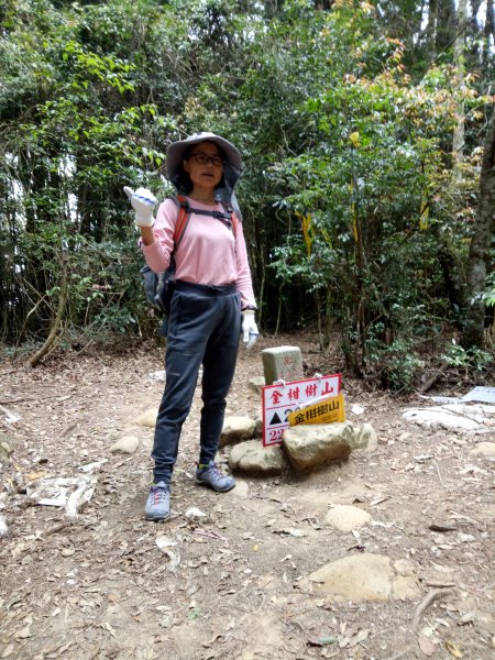 嶺頭山+金柑樹山+忘憂森林O型(留籠頭起登)1905874