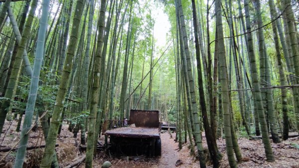 長壽山（肥崠山）鎮山之羊與飛鷹1455183