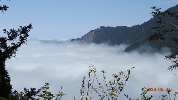 太平山之望洋山&觀雲步道之雲海+觀音圈5/282163473