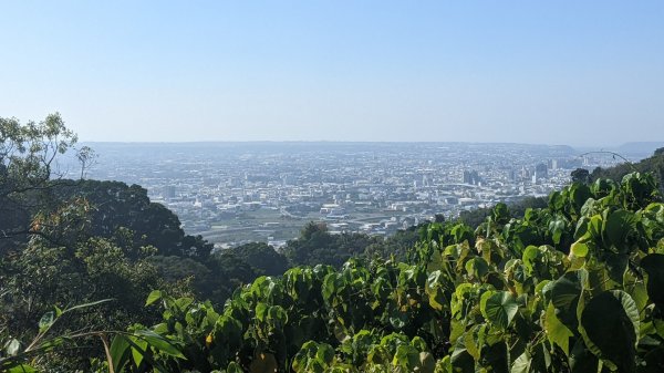 聚興山、新田山步道1641372