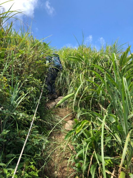 基隆山.基隆山東峰【攜手新夥伴 共闖黃金666282