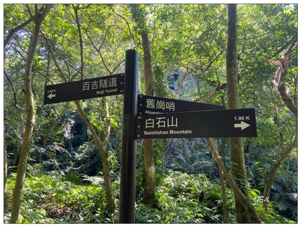 草嶺山、白石山、頭寮山 六連峰 O型路線2798622