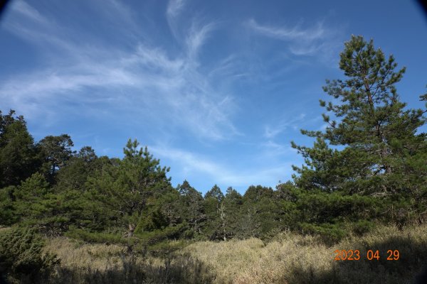 南投 仁愛 武法奈尾山2133758