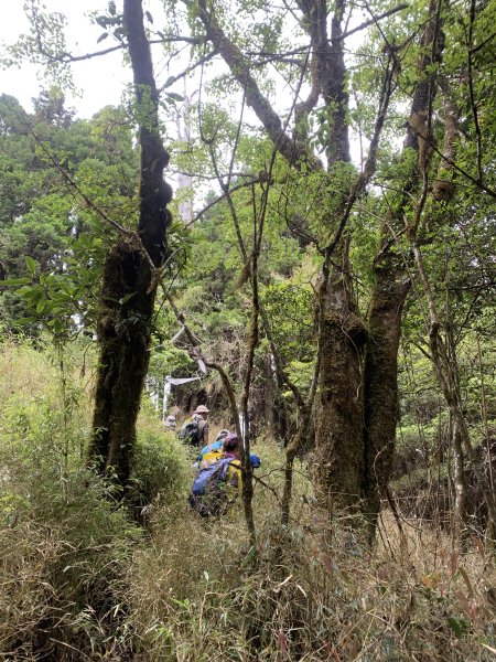 20250517義義兒玉山-東水山2791653
