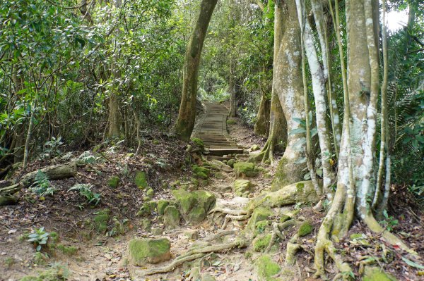 新竹 峨嵋 猿山、六寮山、玖玖山、獅頭山、獅尾山3012133