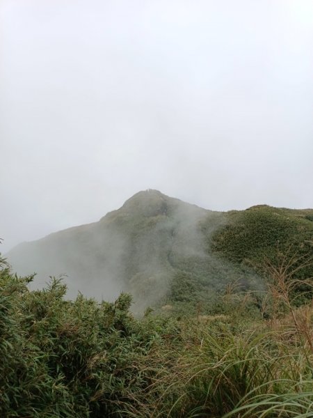 走遍陽明山2301756