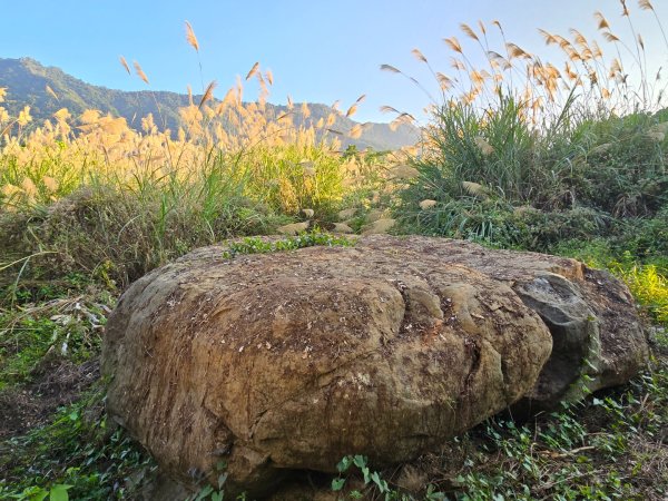 2025-12-30  南化牛港嶺點將石