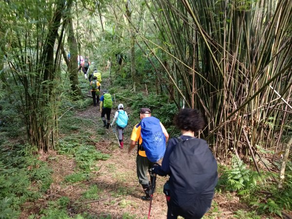 雙溪區大湖尾古道+灣潭古道O型2874796