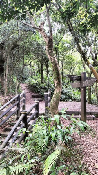 銀河路-楣子寮溪-肆方巖-四面頭山-十六分山-三玄宮山-鵝角格山-樟湖步道2496707