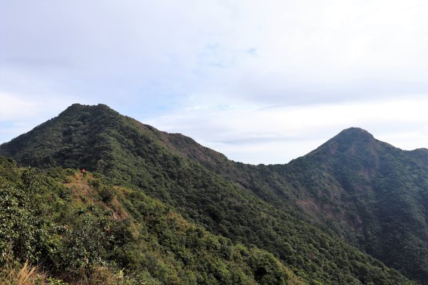 HK - 馬鞍山 (三角石河)1270467