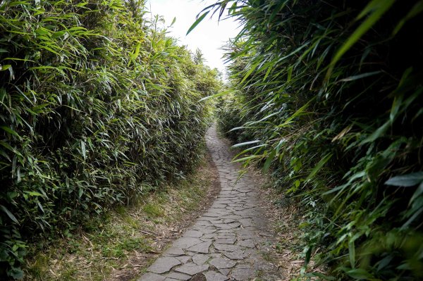 台北大縱走第二段｜大屯山連峰步道3058337