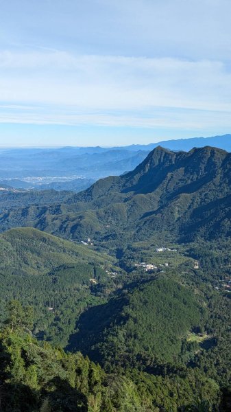 金柑樹山、忘憂森林步道｜嶺頭山2645513