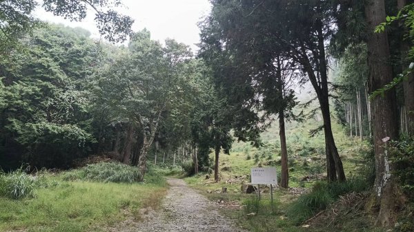 20251010 大雪山國家森林遊樂區 - 船型山林道 登 烏石坑山2911062