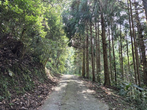 [皮皮獅探險隊-10/10] 2025_0816 白蘭溪古道2862931