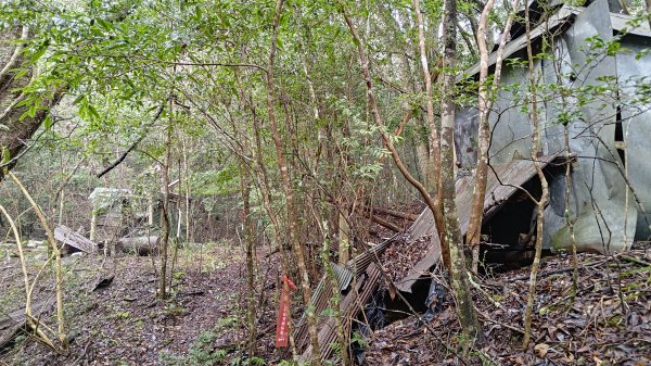 屯野生台山、石麻達山2993169